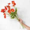 Translation missing: nl.sections.featured_product.gallery_thumbnail_alt
