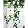 Translation missing: fr.sections.featured_product.gallery_thumbnail_alt
