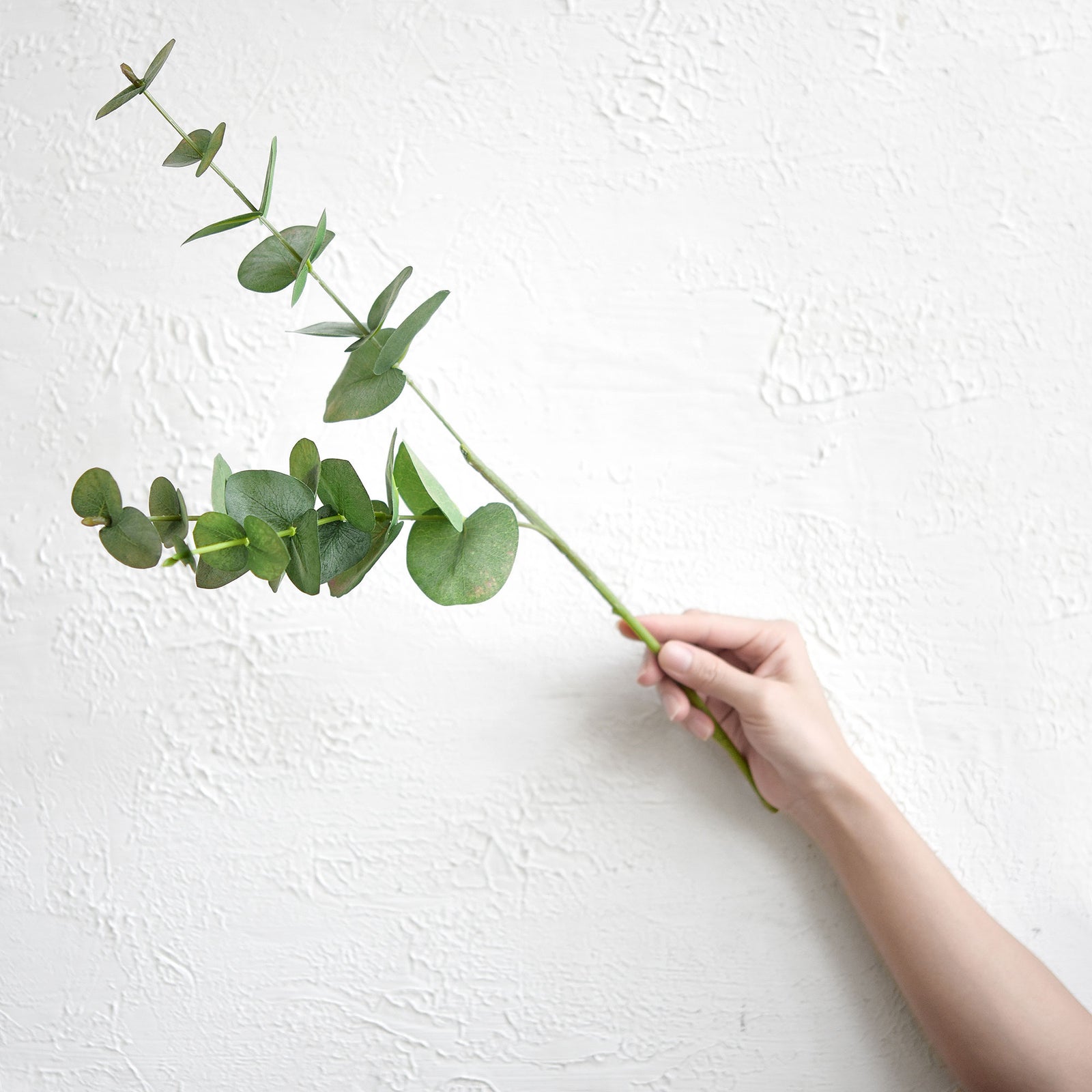 Real Looking True Blue Eucalyptus 19.7” (50cm) Greenery Artificial Eucalyptus Leaves FiveSeasonStuff Floral 2 Stems