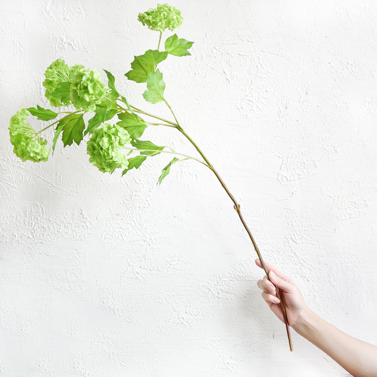 Kiwi Green Snowball Viburnum Long Stem Artificial Flowers 2 Stems