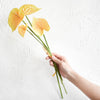 Translation missing: nl.sections.featured_product.gallery_thumbnail_alt
