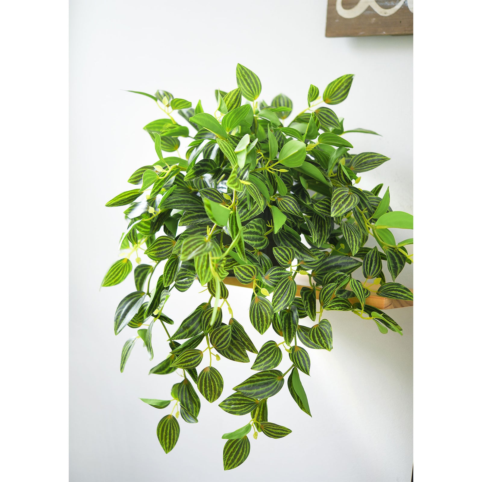 FiveSeasonStuff Real Touch Artificial Hanging Plant Watermelon Peperomia Home Decor 2 Stems