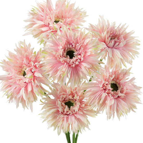 Rose Fog Spider Gerbera Daisies Silk Flowers Real Looking Artificial flowers Home Décor 16.5'' (6 Stems) FiveSeasonStuff