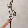 Translation missing: fr.sections.featured_product.gallery_thumbnail_alt
