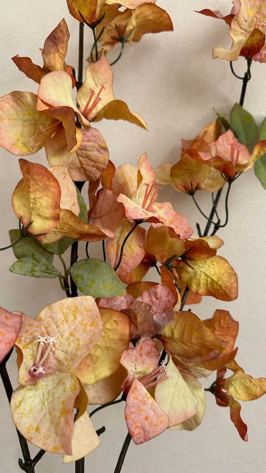 Close-up of Autumn Apricot artificial bougainvillea flowers and green leaves