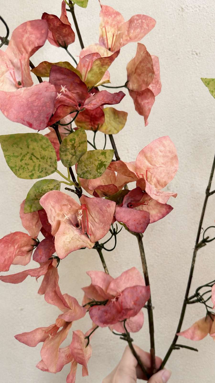 Close-up of Coral Blush artificial bougainvillea flowers and green leaves