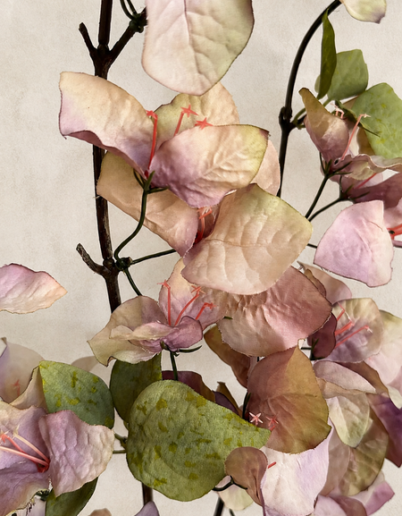 Close-up of Dusty Mauve artificial bougainvillea flowers and green leaves