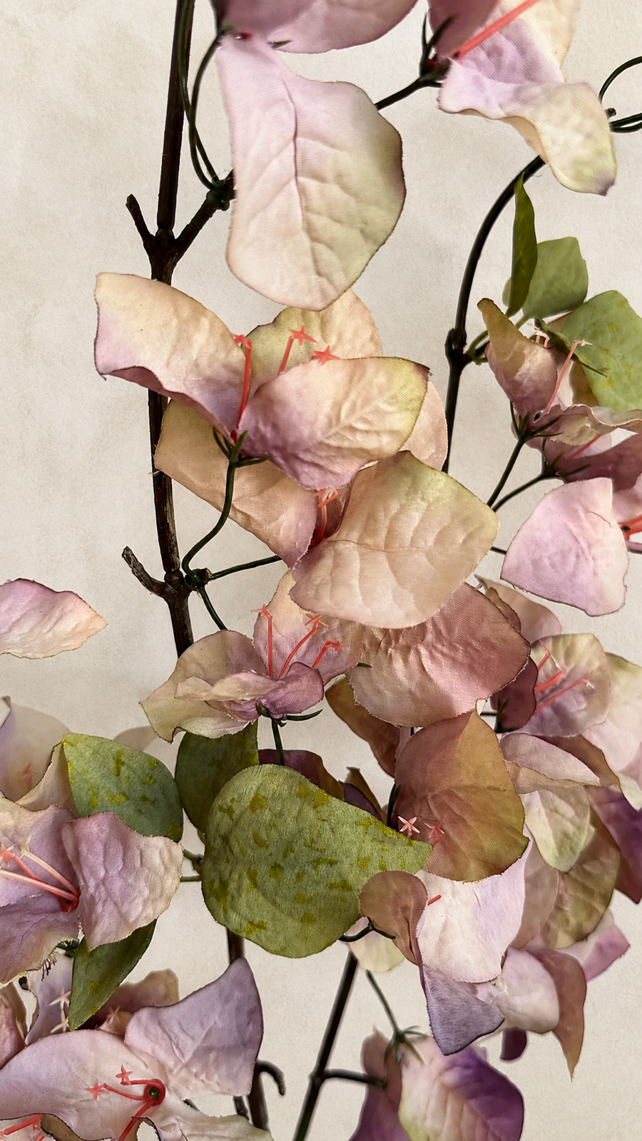 Close-up of Dusty Mauve artificial bougainvillea flowers and green leaves