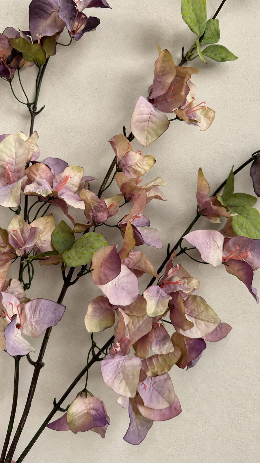 Dusty Mauve faux bougainvillea flowering stem showing its natural branching shape