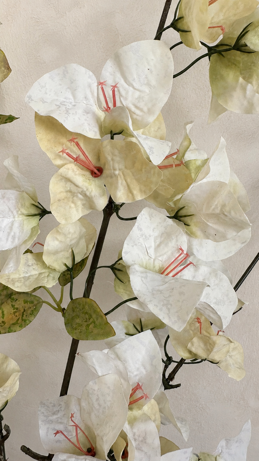Close-up of Ivory Cream artificial bougainvillea flowers and green leaves