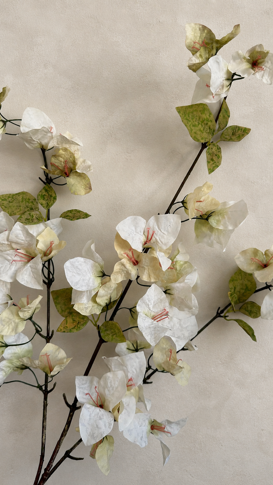 Ivory Cream faux bougainvillea flowering stem showing its natural branching shape