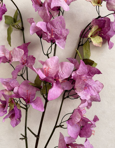 Close-up of Orchid Purple artificial bougainvillea flowers and green leaves
