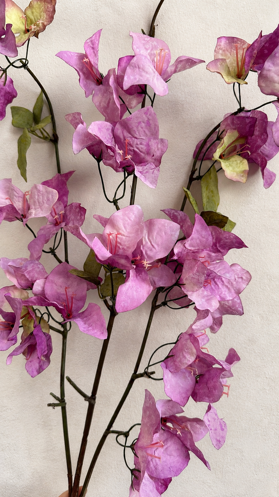 Close-up of Orchid Purple artificial bougainvillea flowers and green leaves