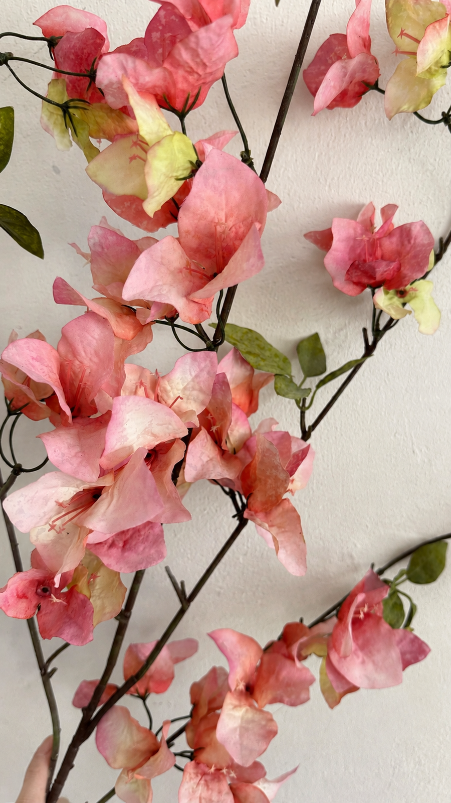 Close-up of Warm Coral Pink artificial bougainvillea flowers and green leaves
