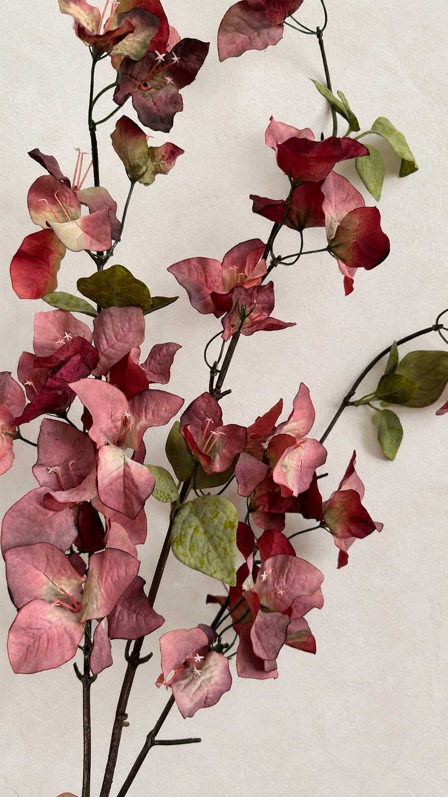 Wine Burgundy faux bougainvillea flowering stem showing its natural branching shape