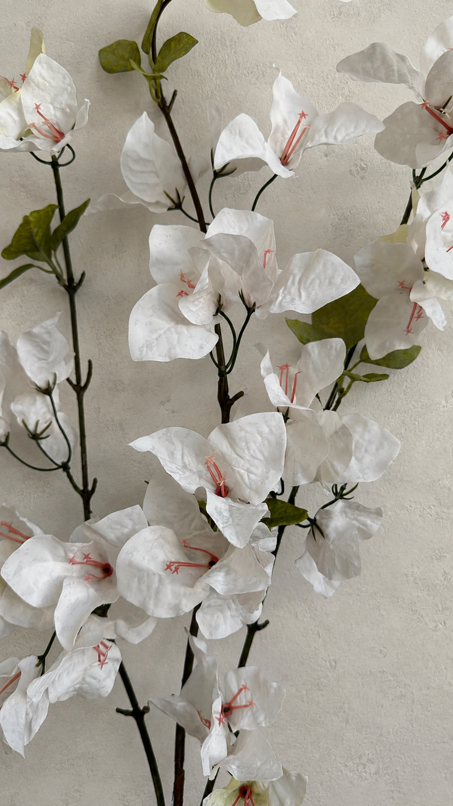 Close-up of Soft White artificial bougainvillea flowers and green leaves