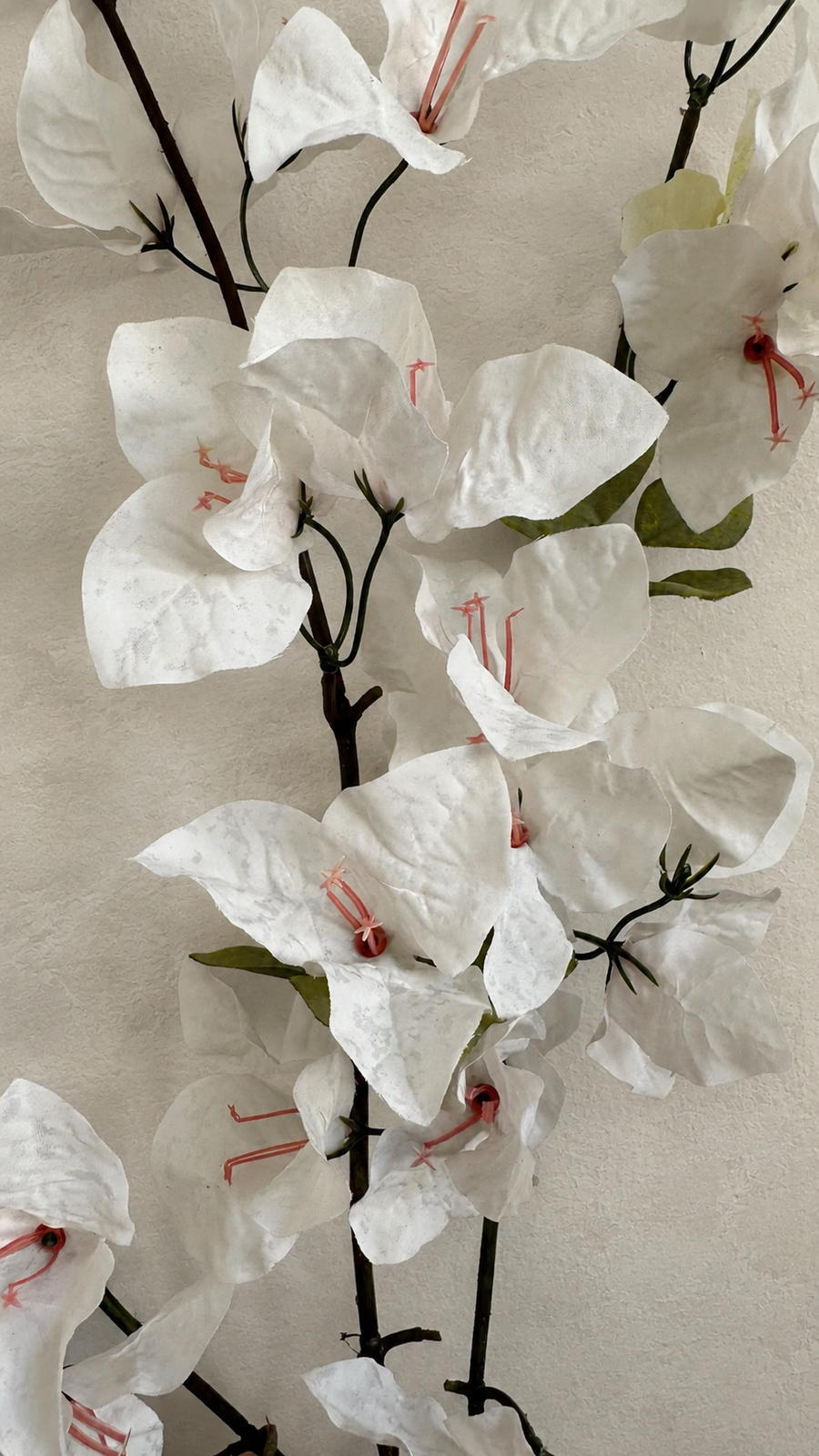 Soft White faux bougainvillea flowering stem showing its natural branching shape