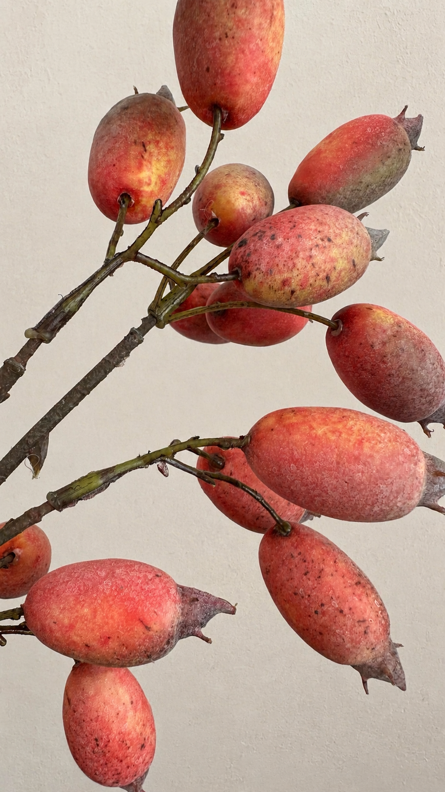 Clustered artificial rosehip berry branch detail in dusty coral red