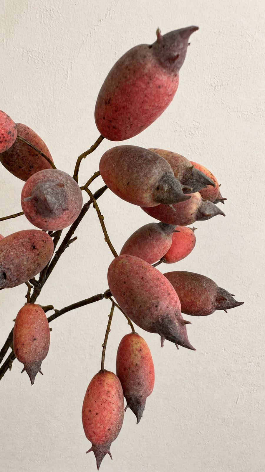 Dusty coral red decorative berry stem for vase arrangements