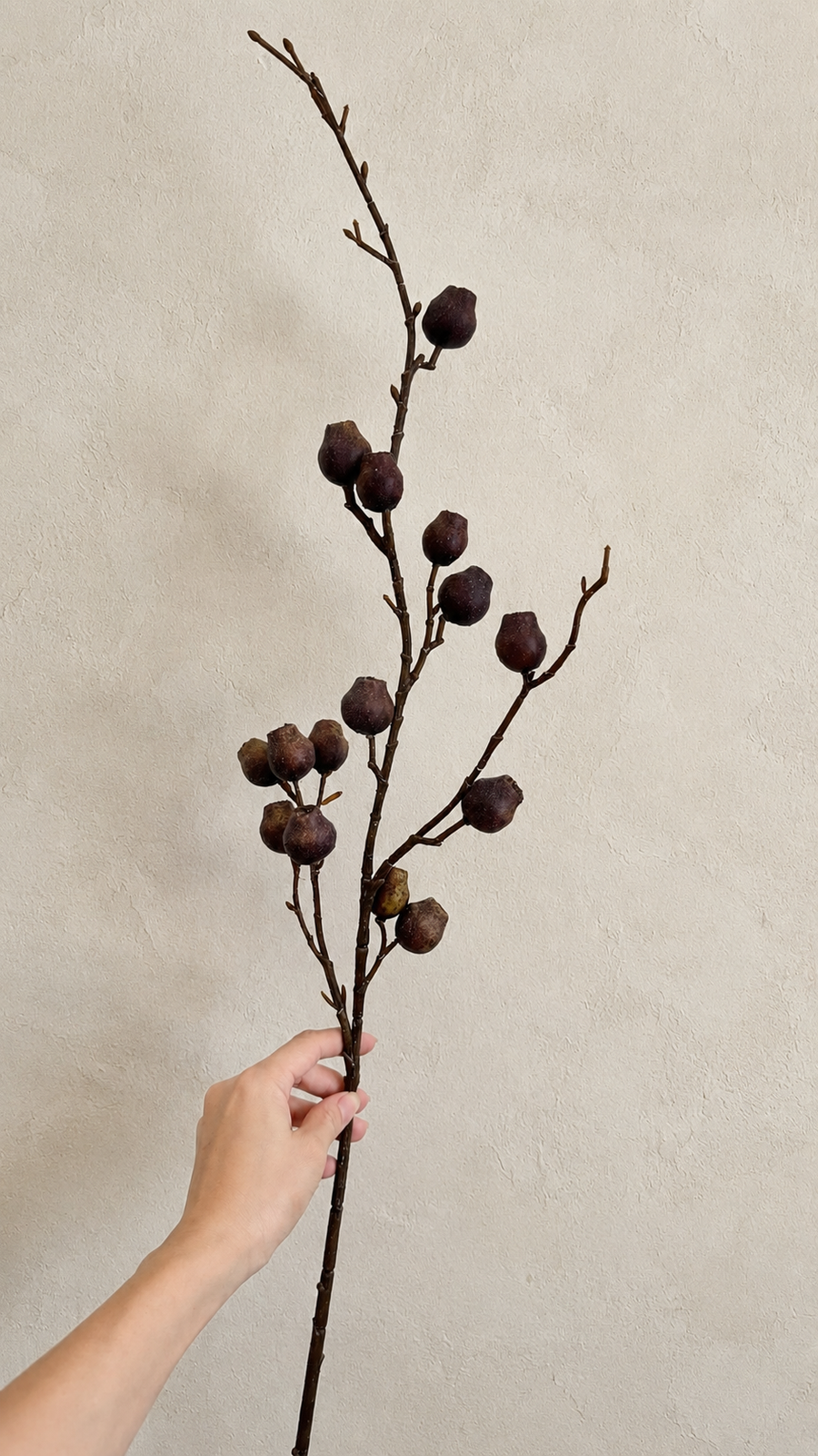 Deep Aubergine faux berry branch styling image for moody home decor