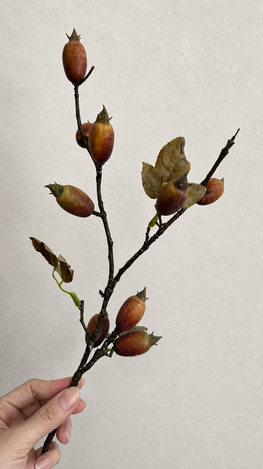 Weathered rustic brown red rosehip berries and artificial leaves