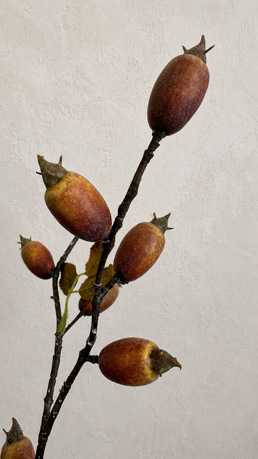 Artificial rosehip berry branch detail in warm brown red