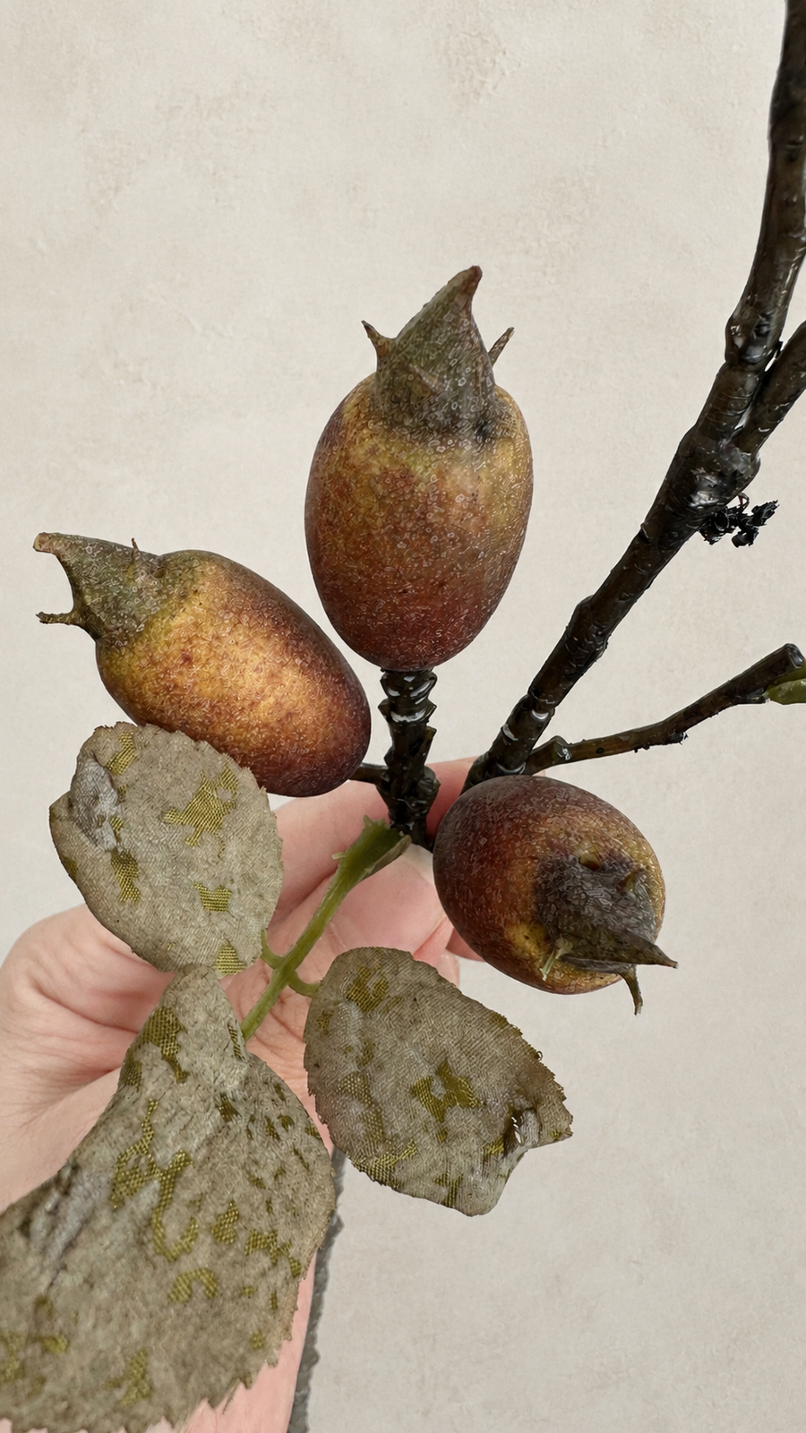 Rustic brown red decorative berry stem for vase arrangements