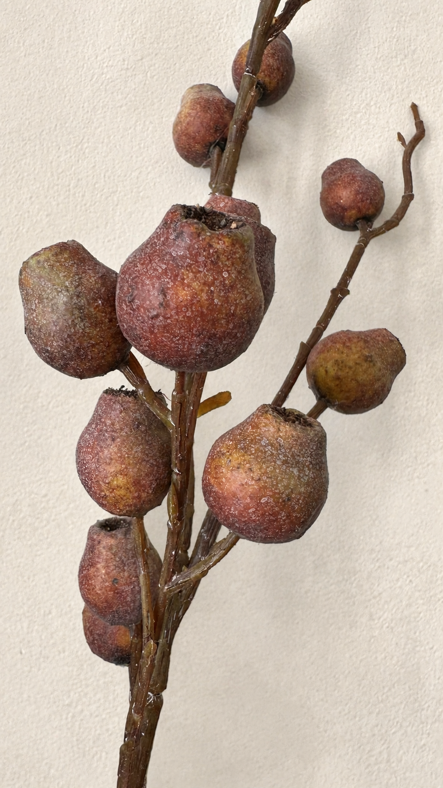 Weathered Russet textured berry branch for Thanksgiving floral filler
