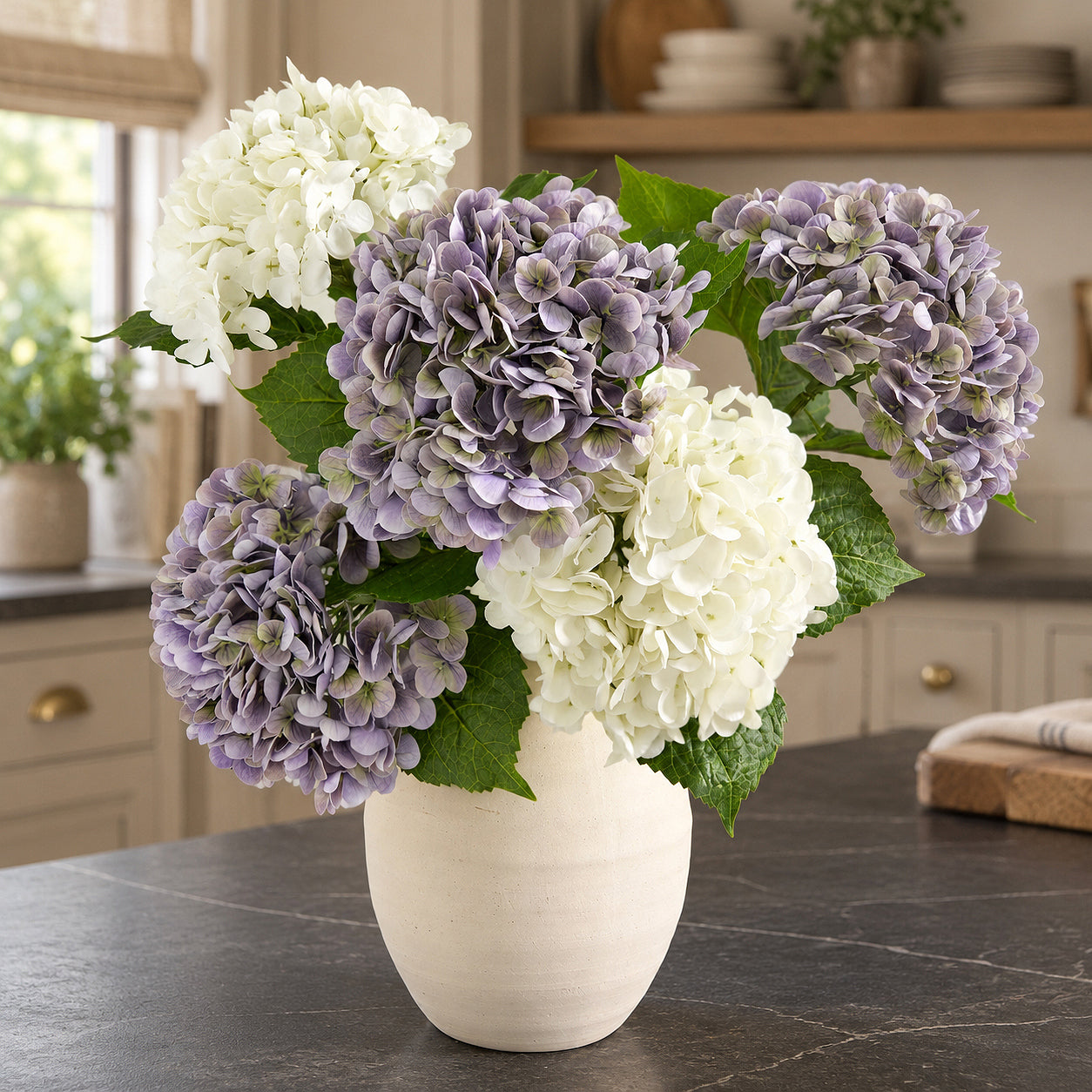 Three antique lavender hydrangeas with white hydrangeas in a cream vase on a dark kitchen counter.