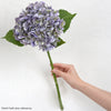 Translation missing: fr.sections.featured_product.gallery_thumbnail_alt
