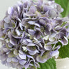 Translation missing: fr.sections.featured_product.gallery_thumbnail_alt
