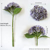 Translation missing: fr.sections.featured_product.gallery_thumbnail_alt
