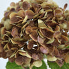 Translation missing: fr.sections.featured_product.gallery_thumbnail_alt
