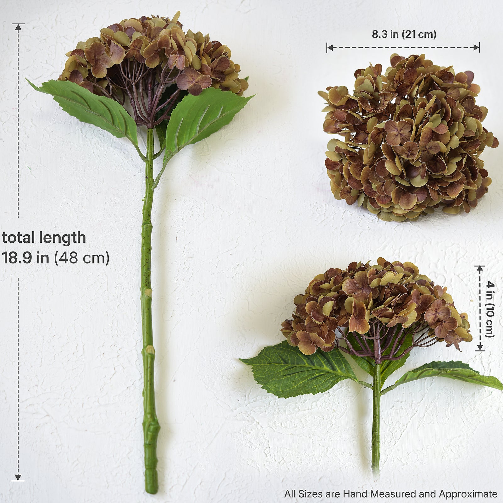 Antique russet hydrangea size guide: 18.9-inch stem, 8.3-inch flower width and approximately 4-inch flower height.