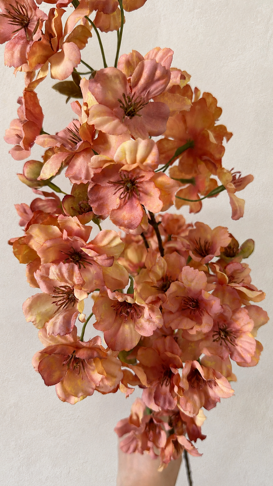 Autumn apricot artificial cherry blossom flower clusters held for scale