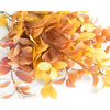 Translation missing: nl.sections.featured_product.gallery_thumbnail_alt
