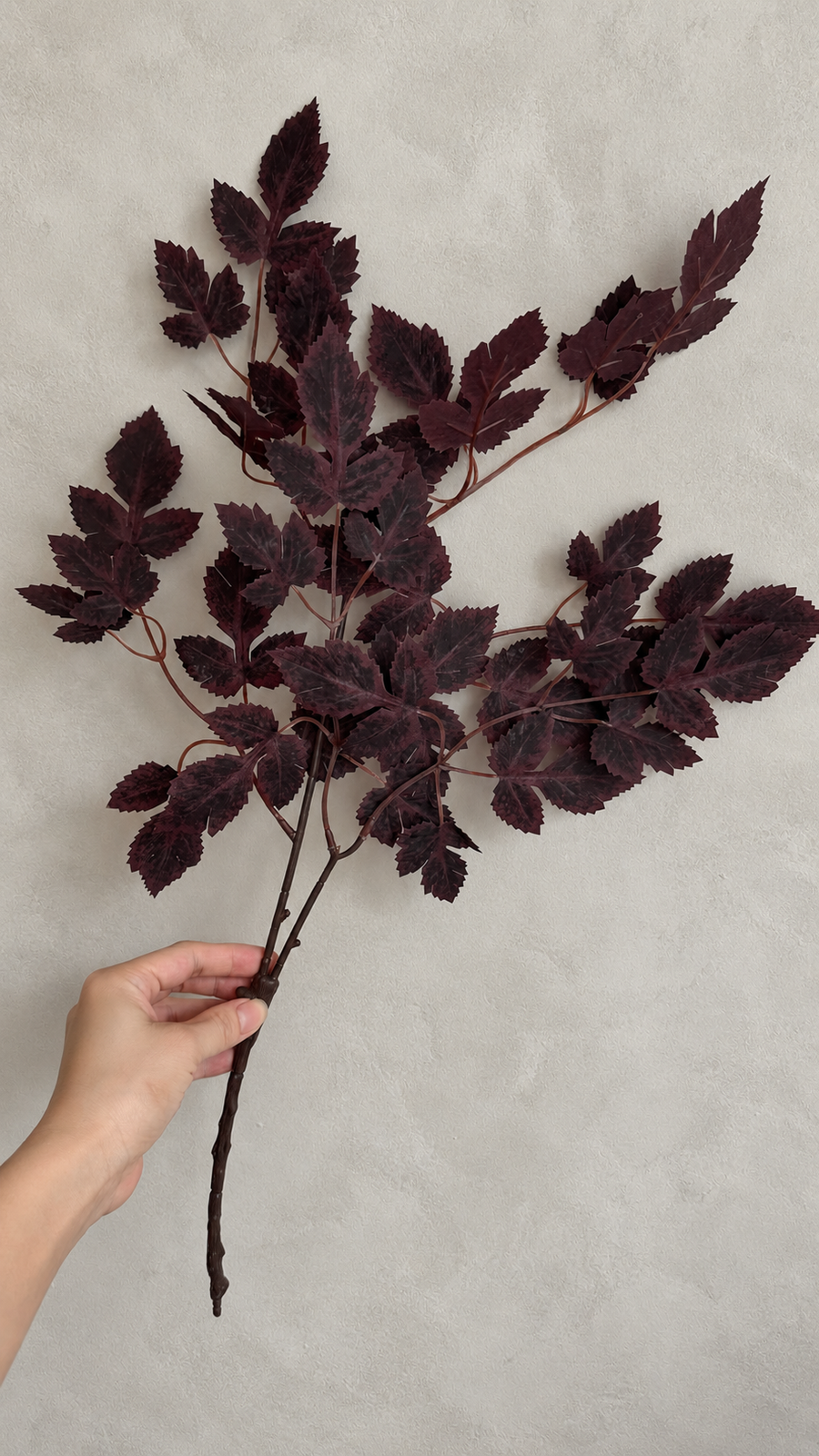 Hand holding a burgundy artificial maple branch against a light gray wall.