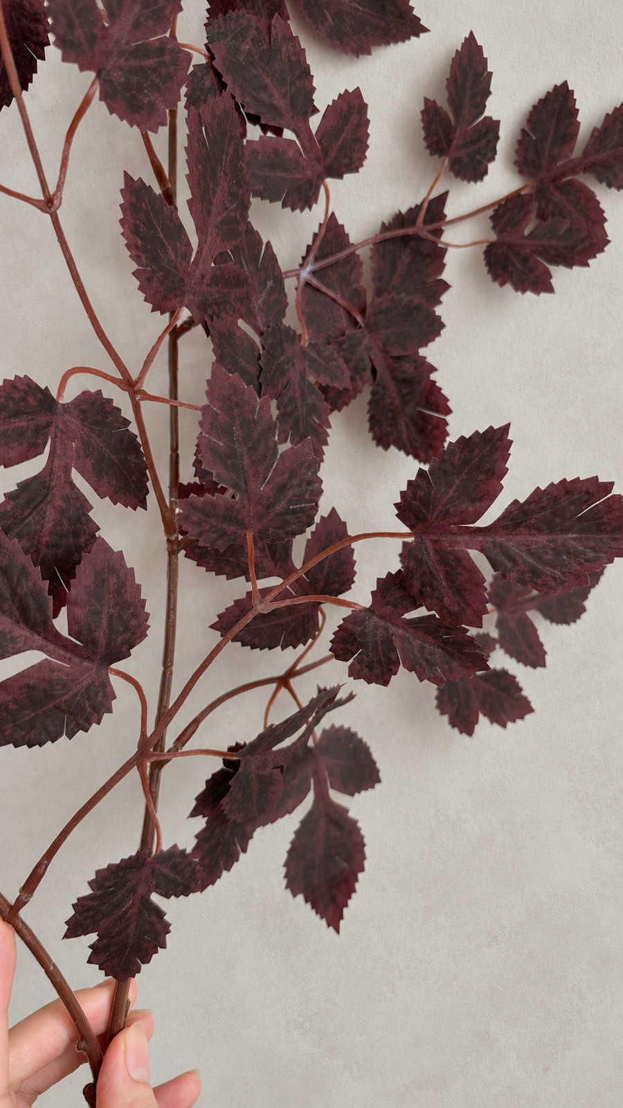 Close-up of a hand-held burgundy foliage branch against a warm gray wall.