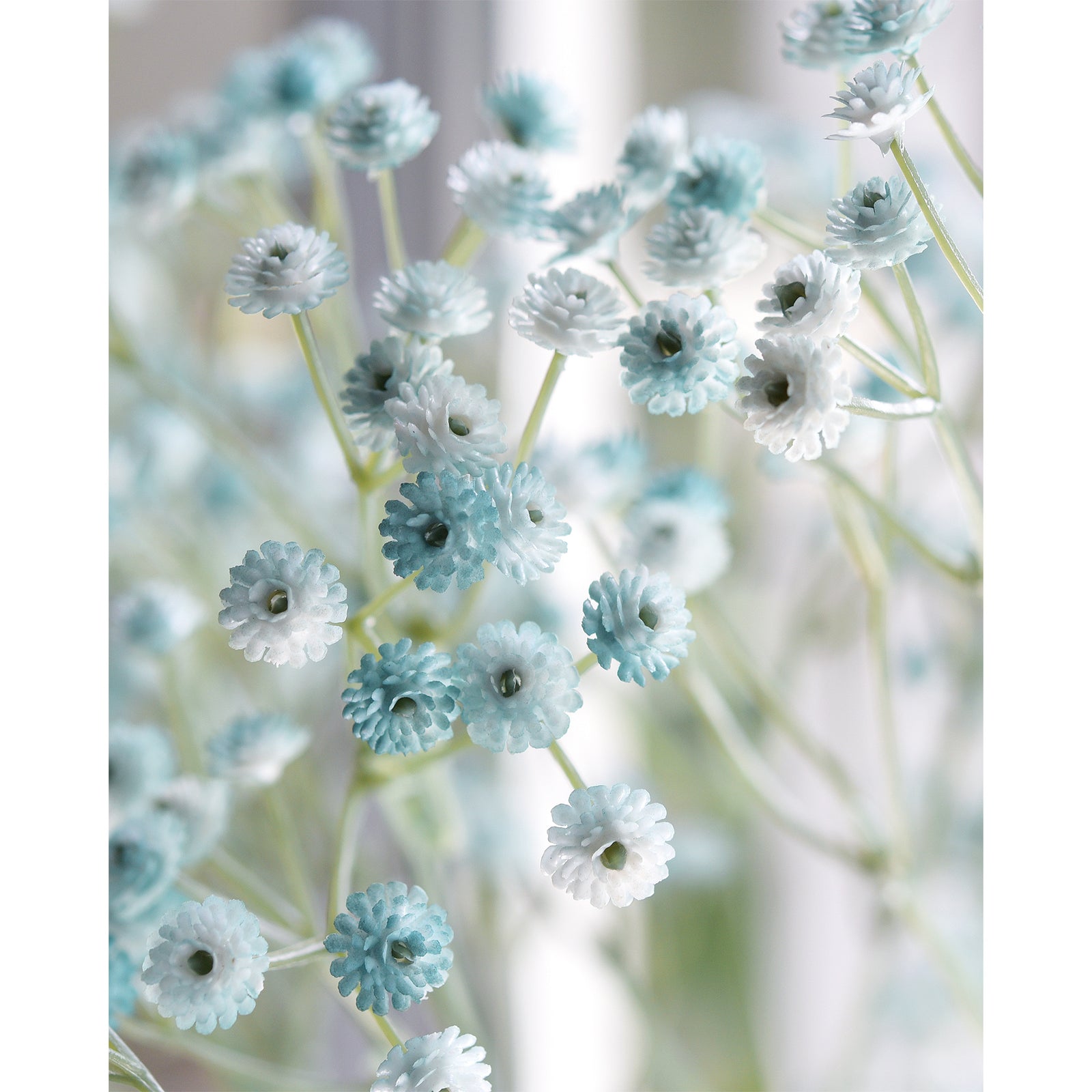 Close-up of pale blue baby's breath flower heads with darker centers on slender green branches.