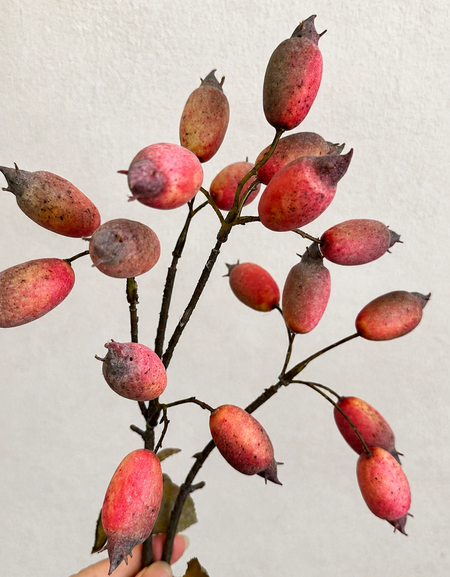 Dusty coral red artificial rosehip berries on branching dark stems, held against a light wall.