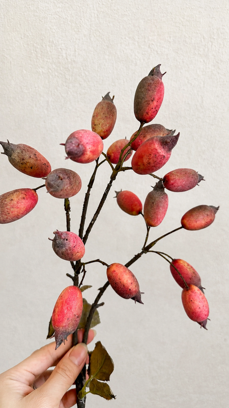 Dusty coral red faux rosehip berry branch, 23.6 inch full stem