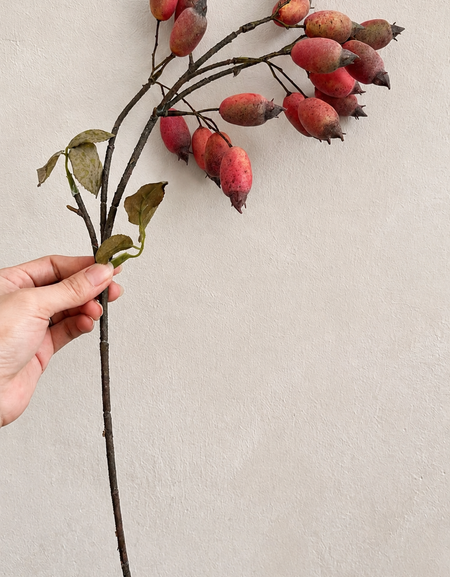 One dusty coral red artificial rosehip branch held against a light wall, showing the full stem.