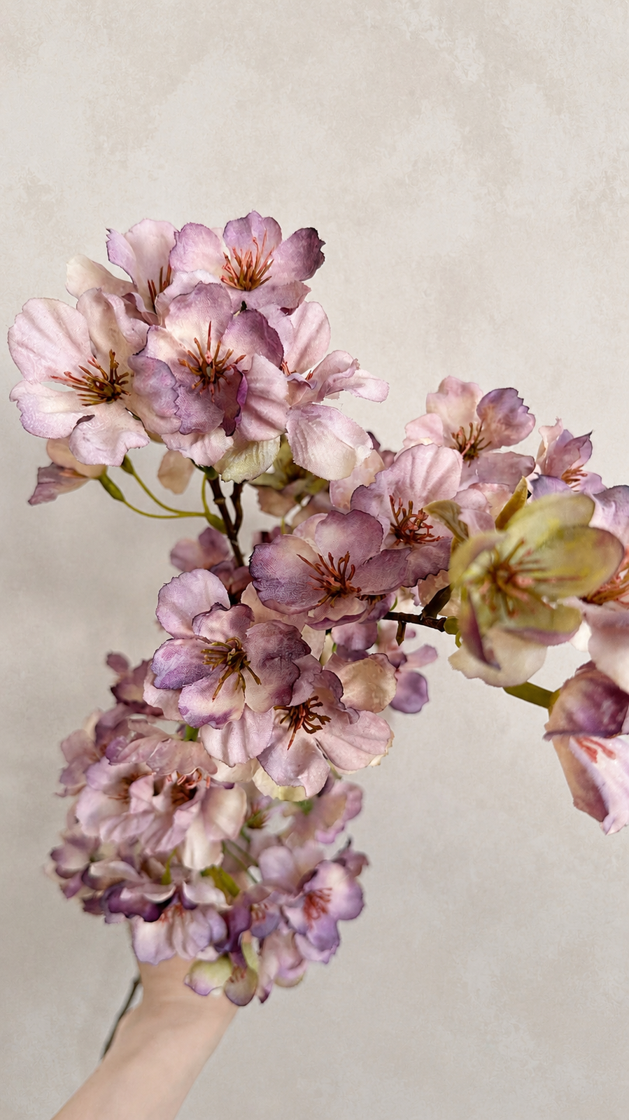 Dusty mauve artificial cherry blossom flower clusters held for scale