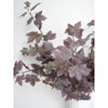Translation missing: nl.sections.featured_product.gallery_thumbnail_alt
