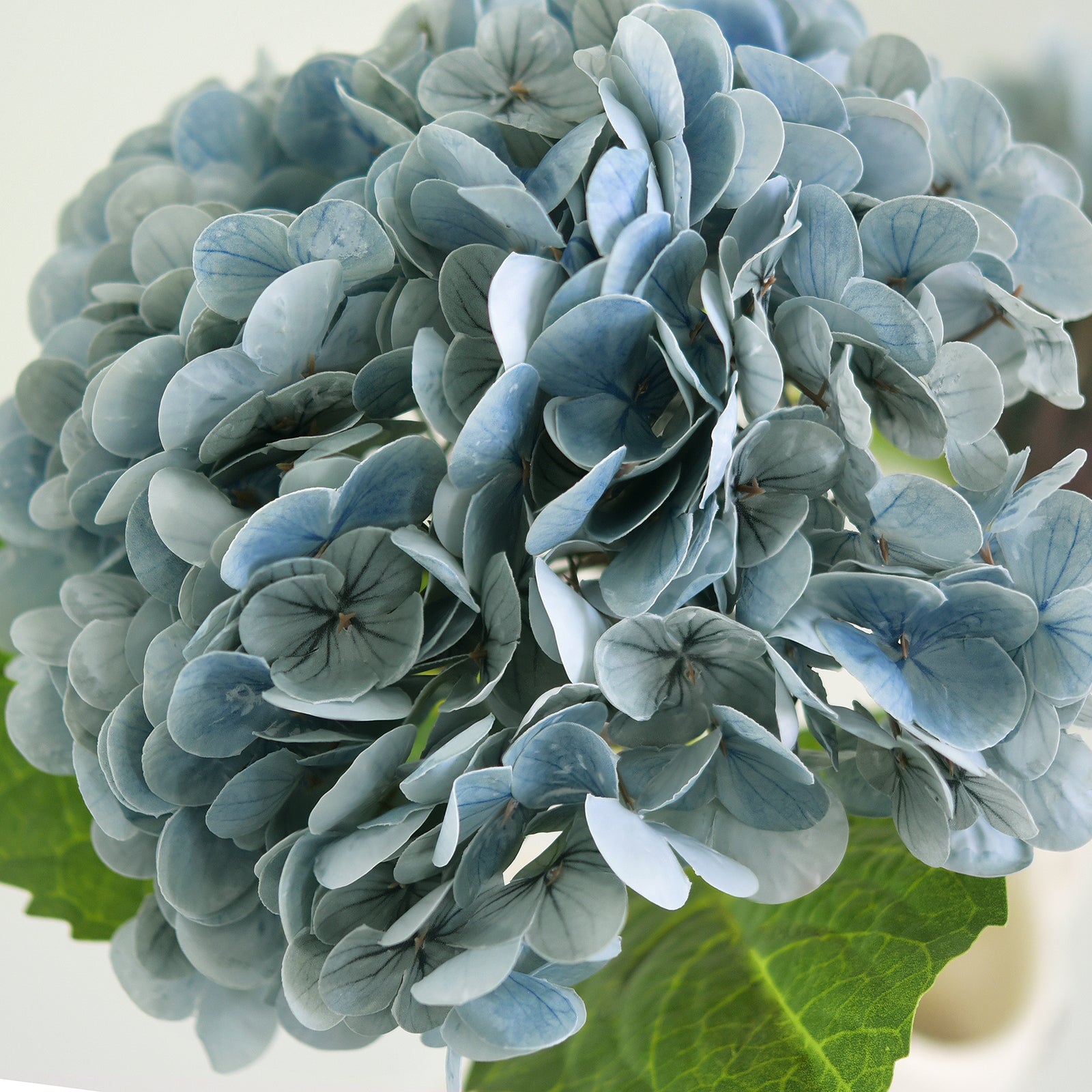 Close-up of layered dusty slate blue hydrangea petals and a green leaf.