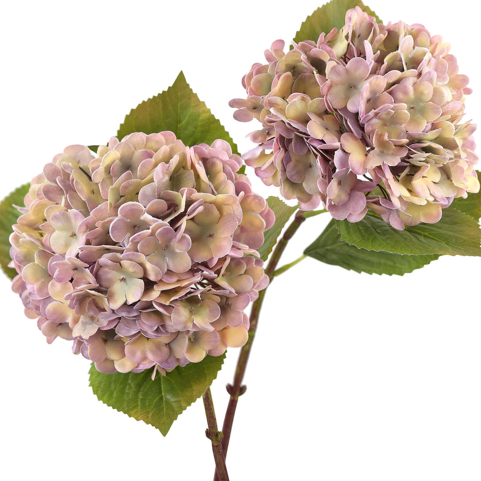 Ethereal Amethyst Real Touch hydrangea stems, set of 2, main product view.
