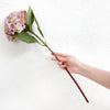 Translation missing: pt-PT.sections.featured_product.gallery_thumbnail_alt
