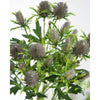Translation missing: pt-PT.sections.featured_product.gallery_thumbnail_alt
