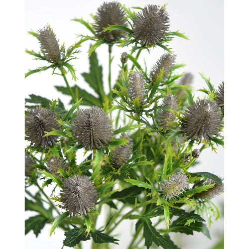 Five gray-blue artificial eryngium sea holly stems, full product view.