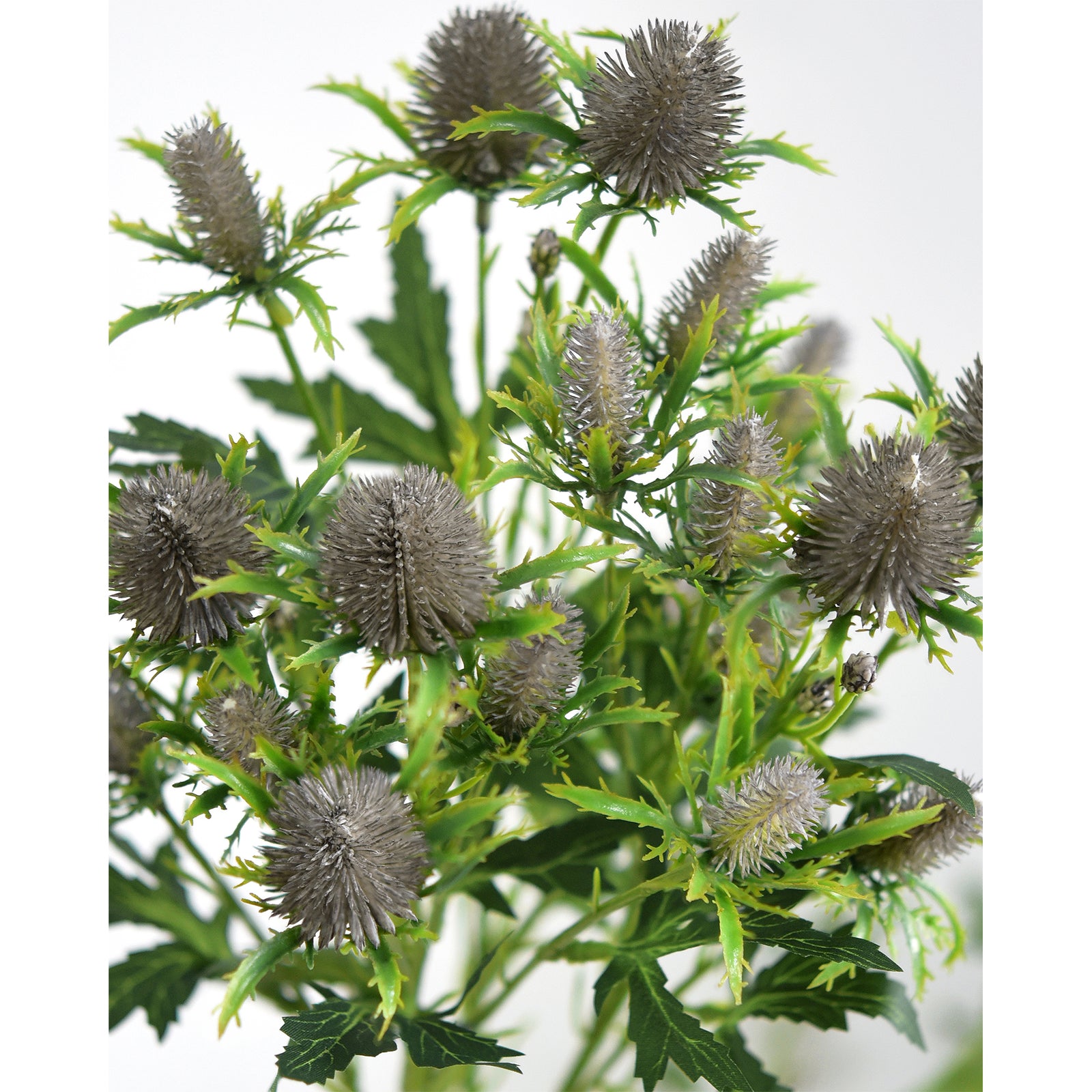 Five gray-blue artificial eryngium sea holly stems, full product view.